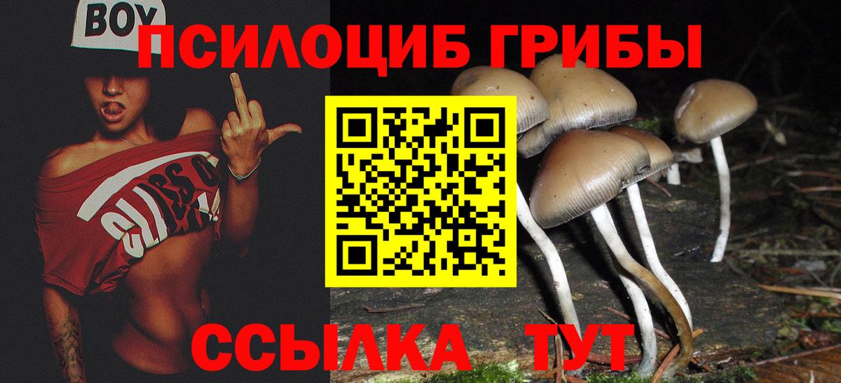 Джанкой  Псилоцибиновые грибы Psilocybine cubensis  Галлюциногенные грибы MAGIC MUSHROOMS  Вход с VPN 